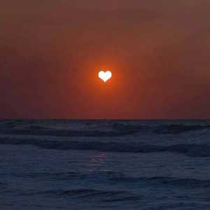 欧美精品久久99
